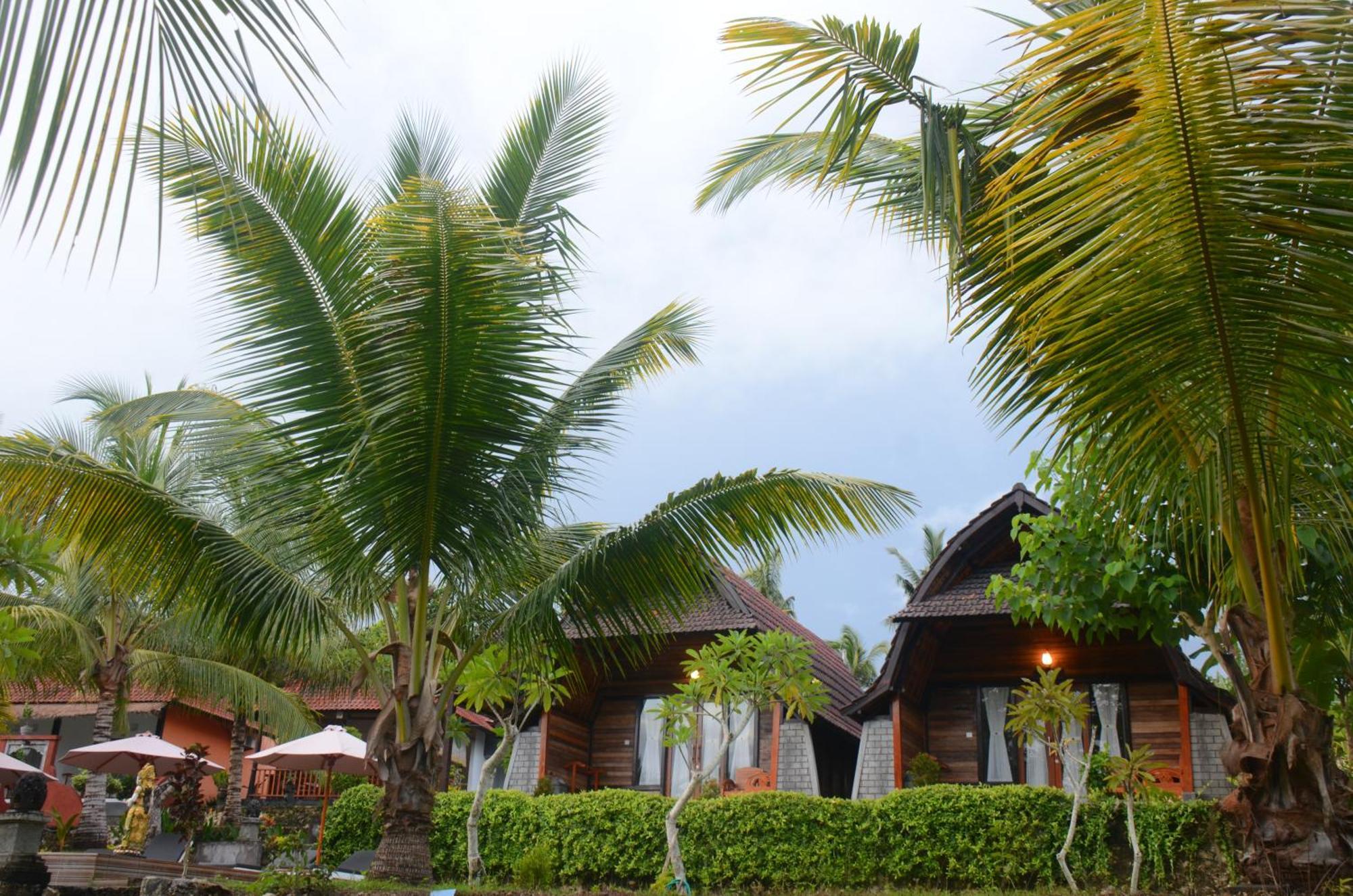 Mamaras Guest House Sakti Exterior photo